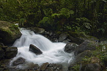 Waterfall in rainforest, Valle del Cauca, Colombia