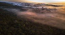 Mist over rainforest, La Macarena, Colombia
