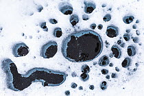 Snow-covered ice with melted holes, Spitsbergen, Svalbard, Norway