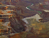 River in canyon, Green River from Green River Overlook, Canyonlands National Park, Utah