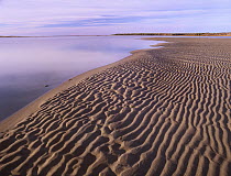 Sand ripples along coast, Kouchibouguac National Park, New Brunswick, Canada