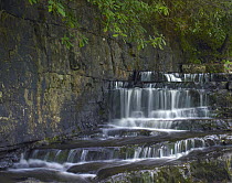 Dismal Falls, Jefferson National Forest, Virginia