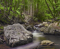 Little Stony Creek, Jefferson National Forest, Virginia