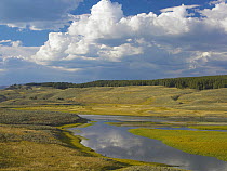Alum Creek, Hayden Valley, Yellowstone National Park, Wyoming