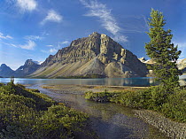 Bow Lake, Crowfoot Mountains, Banff National Park, Alberta, Canada