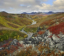 Tundra and river in autumn, Ogilvie Mountains, Tombstone Territorial Park, Yukon, Canada