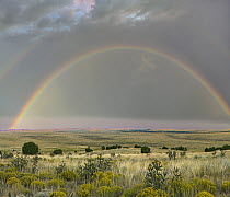 Double rainbow over shrubland, Apishapa State Wildlife Area, Colorado