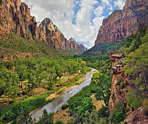 Zion Canyon and Virgin River, Zion National Park, Utah
