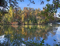 Decidous trees and dock at lake in autumn, Lake Fayetteville, Arkansas