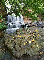 Waterfall, Tanyard Creek, Arkansas