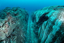 Mooring chain which has carved trench into coral reef, Christmas Island, Australia