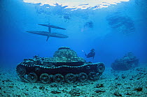 Scuba diver exploring World War II Japanese tank wreck, New Britain, Papua New Guinea