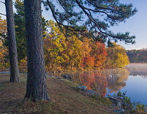 Trees in autumn, Lake Bailey, Petit Jean State Park, Arkansas