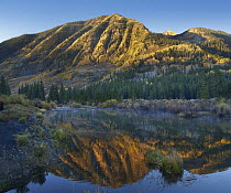 Beaver pond along the Slate River near Crested Butte, Colorado