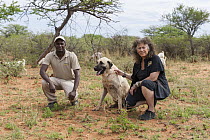 Anatolian Shepherd (Canis familiaris) livestock guarding dog, with Cheetah (Acinonyx jubatus) conservationist, Laurie Marker, and staff member, Cheetah Conservation Fund, Namibia
