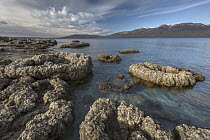 Calcium formations, Sarmiento Lake, Torres del Paine National Park, Patagonia, Chile