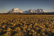 Shrubland and mountain, Paine Massif, Torres del Paine, Torres del Paine National Park, Patagonia, Chile
