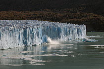 Ice calving from terminal moraine, Perito Moreno Glacier, Los Glaciares National Park, Patagonia, Argentina