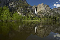 Waterfall reflected in flooded meadow, Yosemite Falls, Yosemite National Park, California