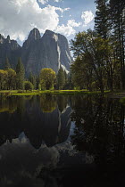 Peak reflected in flooded meadow, Cathedral Rocks, Yosemite National Park, California
