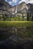 Waterfall reflected in flooded meadow, Yosemite Falls, Yosemite National Park, California
