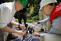 Marbled Murrelet (Brachyramphus marmoratus) biologists using drone to locate nests, Newport, Oregon