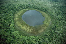 Aerial view of Aldama sinkholes or cenotes, vertical caves filled with mineralized fresh water, Tamaulipas, Mexico