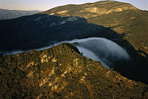 Fog rolling over cloud forest, Altas Cumbres Protected Area, Tamaulipas, Sierra Madre Oriental, northeast Mexico