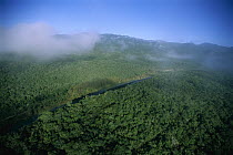 Guayalejo River flowing through cloud forest, Tamaulipas, Sierra Madre Oriental, northeast Mexico