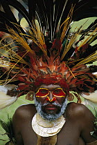 Aboriginal man wearing tribal headdress made with feathers from Bird-of-Paradise, Parrots and Lorikeets, Papua New Guinea