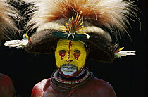Huli man wearing a headdress made with feathers from Papuan Lorikeets (Charmosyna papou) and Birds-of-paradise, Papua New Guinea