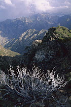 Picacho Del Diablo, the highest peak in Baja California at 3,000 meters, San Pedro Martir National Park, Mexico