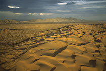 Sand dunes, El Gran Desierto de Altar, El Pinacate, Gran Desierto de Altar Biosphere Reserve, Sonora, Mexico