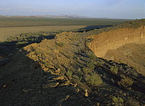 El Colorado Crater, El Pinacate, Gran Desierto de Altar Biosphere Reserve, Sonora, Mexico