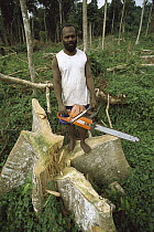 Local man with a chain saw cutting down rainforest trees for lumber, northern Espiritu Santo Island, Vanuatu