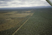 Aerial showing forest transformed into farmlands, Ndumu Game Reserve, South Africa