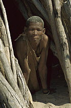 San man peering out from shelter, Kalahari Desert, Africa