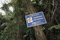 Land parcels for sale in prime tropical rainforest, Daintree National Park, Queensland, Australia