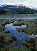 Bay at low tide, Tierra del Fuego, Patagonia, Argentina