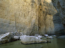 River flowing through desert cliffs, Sierra del Carmen region, Coahuila state, Mexico