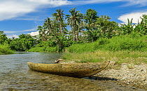 Old dug-out canoe on riverbank, Mbonegi River, Guadalcanal, Solomon Islands