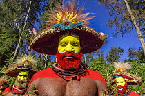 Huli tribe men, Enga Show, Wabag, Western Highlands, Papua New Guinea