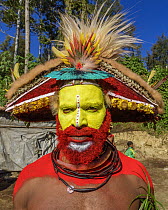 Huli tribe man, Enga Show, Wabag, Western Highlands, Papua New Guinea