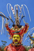 Huli tribe man, Enga Show, Wabag, Western Highlands, Papua New Guinea