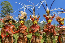 Huli tribe men performing, Enga Show, Wabag, Western Highlands, Papua New Guinea