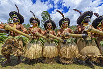Lyain tribe men and women performing, Enga Show, Wabag, Western Highlands, Papua New Guinea