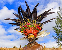 Giluwe Ice man at sing-sing, Mount Hagen Show, Western Highlands, Papua New Guinea