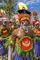 Hagen Kina Amb Korr tribe men, Mount Hagen Show, Western Highlands, Papua New Guinea