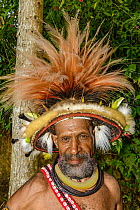 Indigenous man, Paiya Village Mini Show, Western Highlands, Papua New Guinea