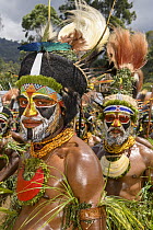 Aiyel tribe men, Enga Show, Wabag, Western Highlands, Papua New Guinea
